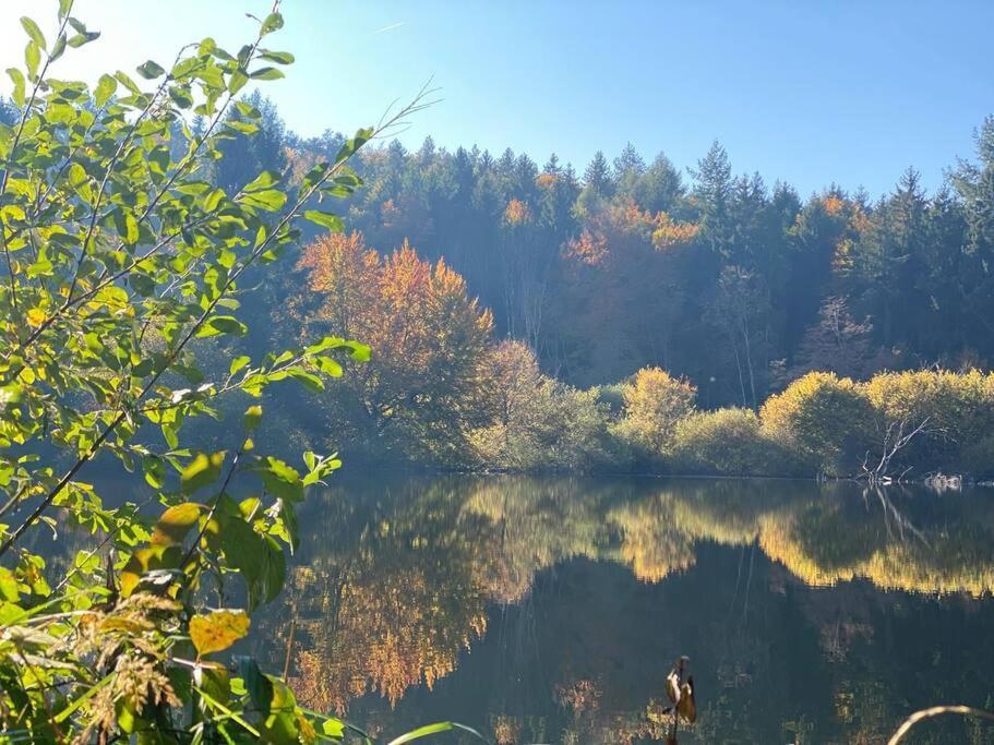 Charismatisch Und Gemuetlich In Guettingen, Nah Zum Buchensee Und Bodensee, Tolle Lage Radolfzell am Bodensee Exterior photo